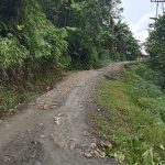 Jalan Lintas Provinsi di Desa Olayama dan Desa Bawohosi Perlu Diperhatikan Pembangunannya