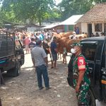 Babinsa Koramil 0825/12 Monitoring Pasar Hewan Desa Gitik Kecamatan Rogojampi